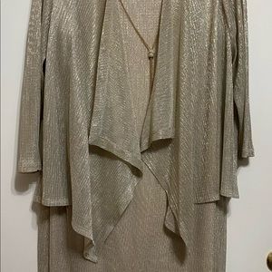 NWOT Cocktail or MOB/G Dress 18W